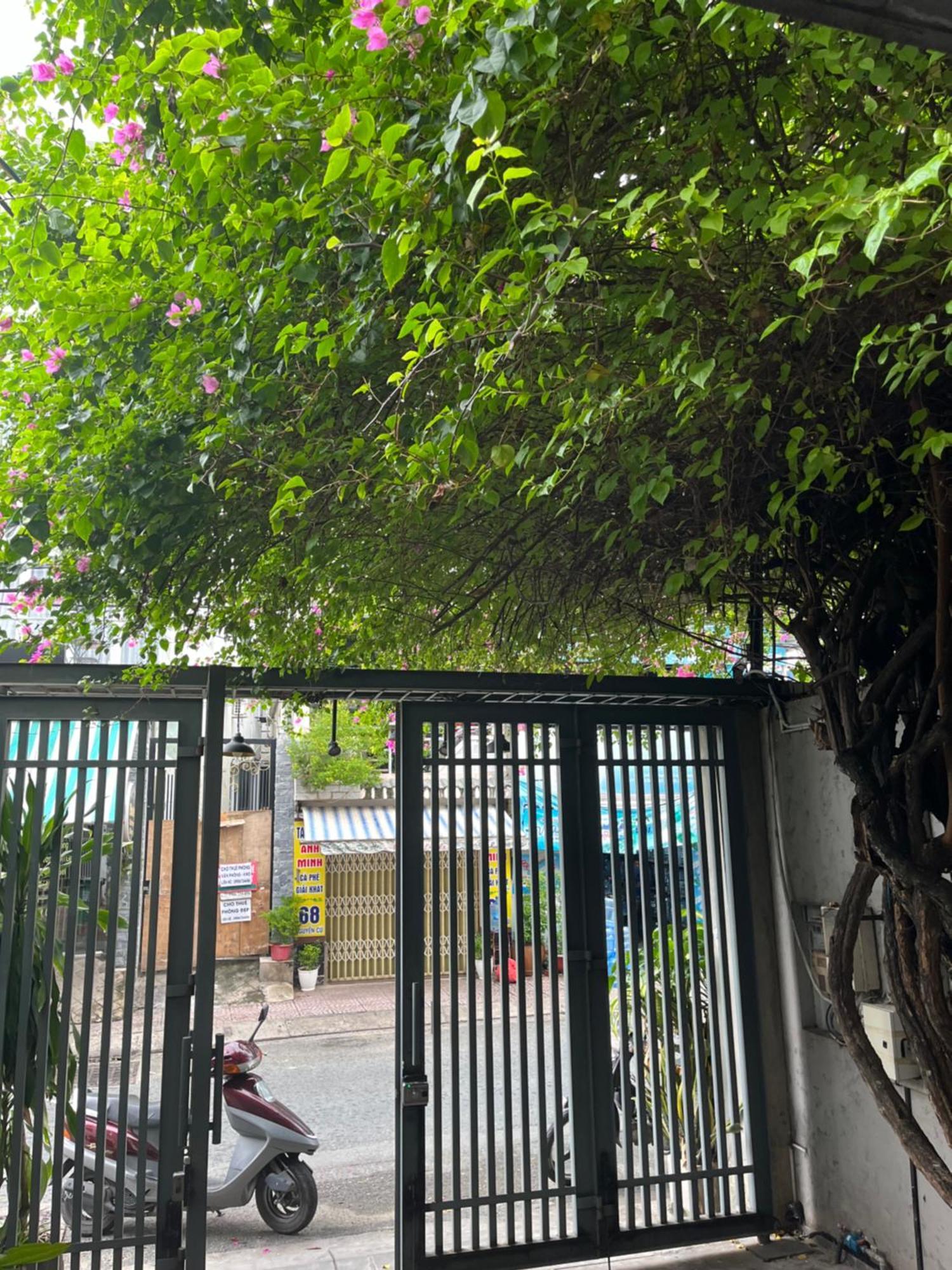 Zen Thao Dien Ho Chi Minh-staden Exteriör bild